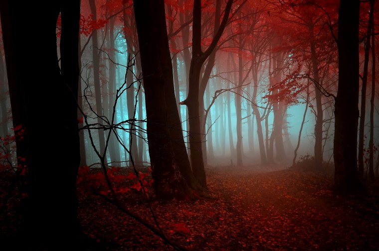 Страшный лес