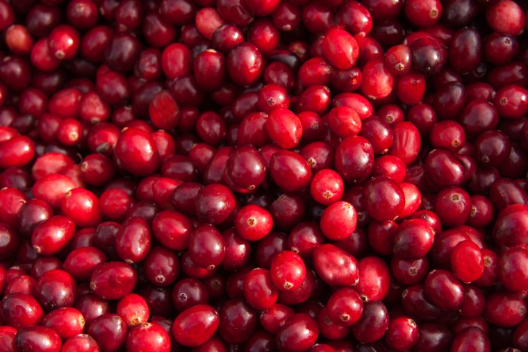 Cranberry (Turna Yemişi)