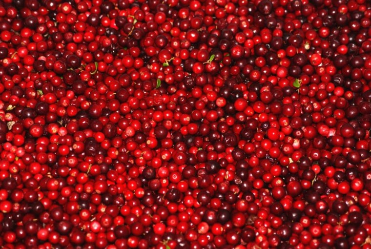 Брусника ягода