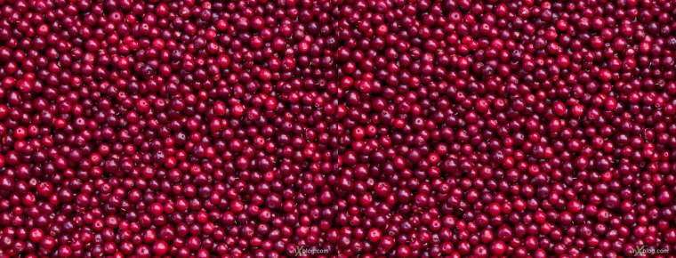 Брусника фон