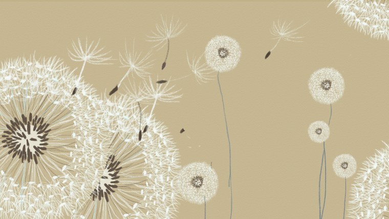 Обои одуванчики Леруа Мерлен