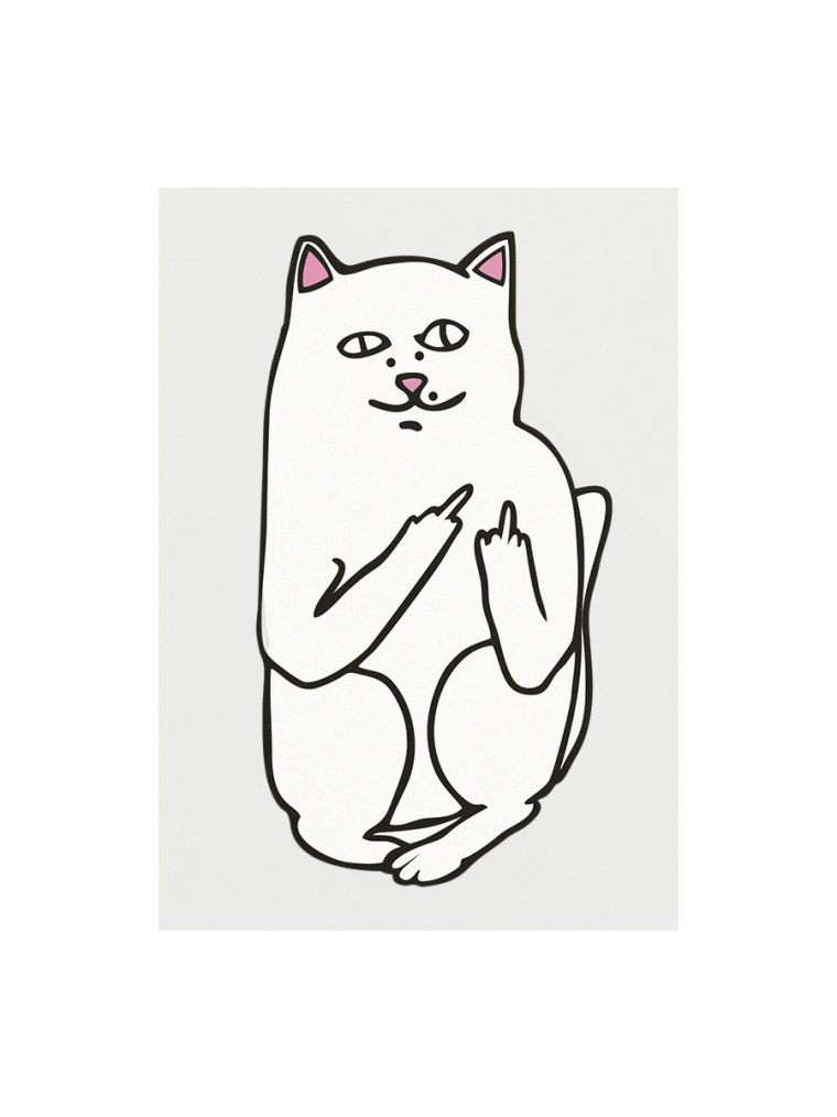 Кошка с факом