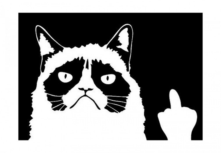 Кошка показывает фак