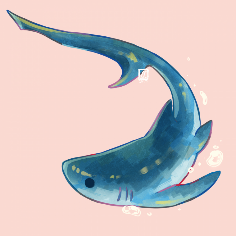 Милая акула арт