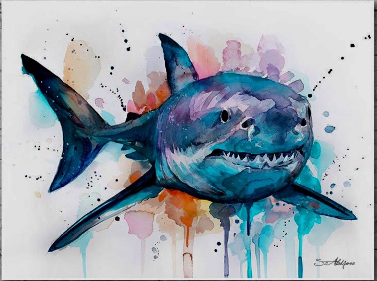Акула гуашью
