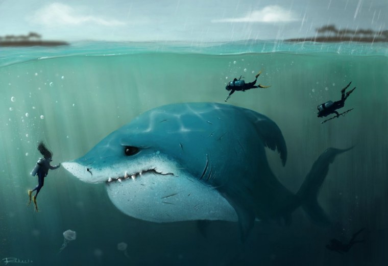 Обои с акулами милые