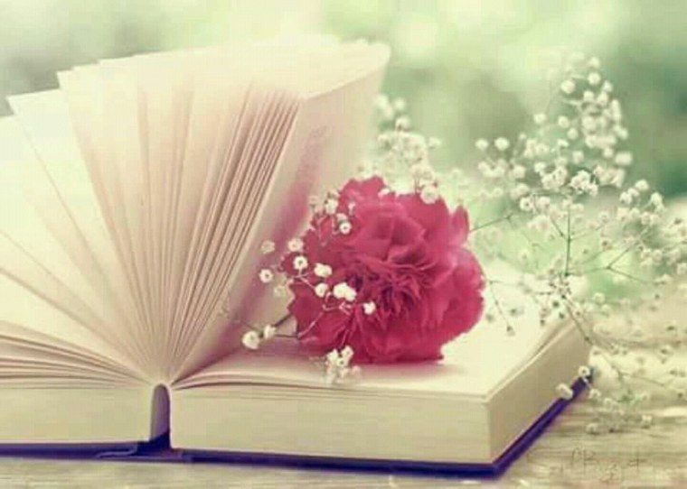 Книга с цветами