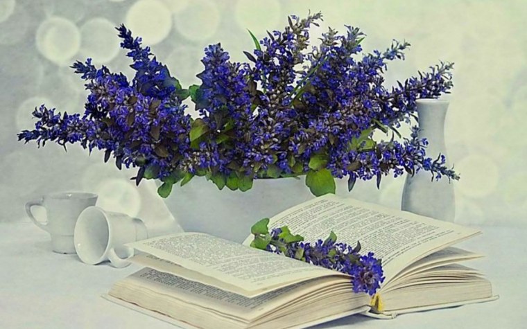 Книга цветы