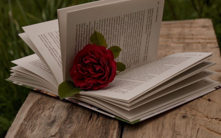 Книга природа