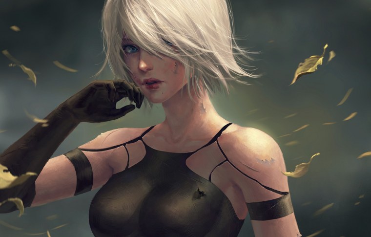 A2 NIER