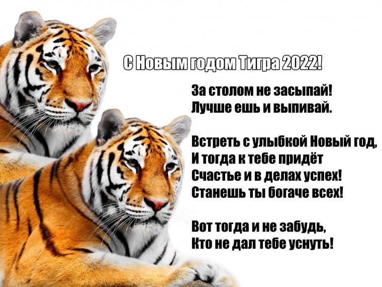 2022 Год год тигра