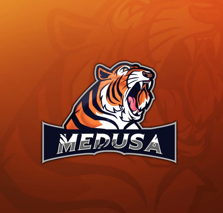 Надпись тигр