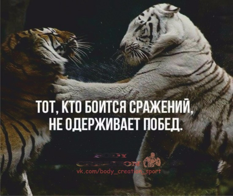 Тот кто боится сражений не одерживает побед