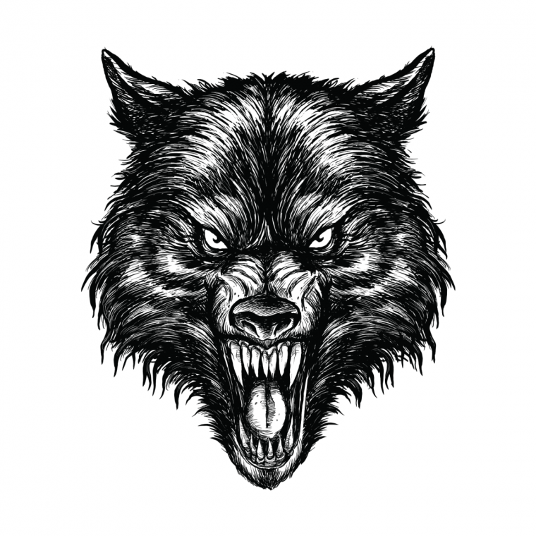 Оскал оборотня тату эскизы