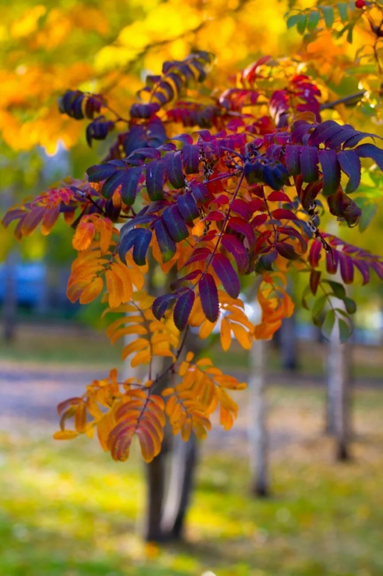 Красивая осень