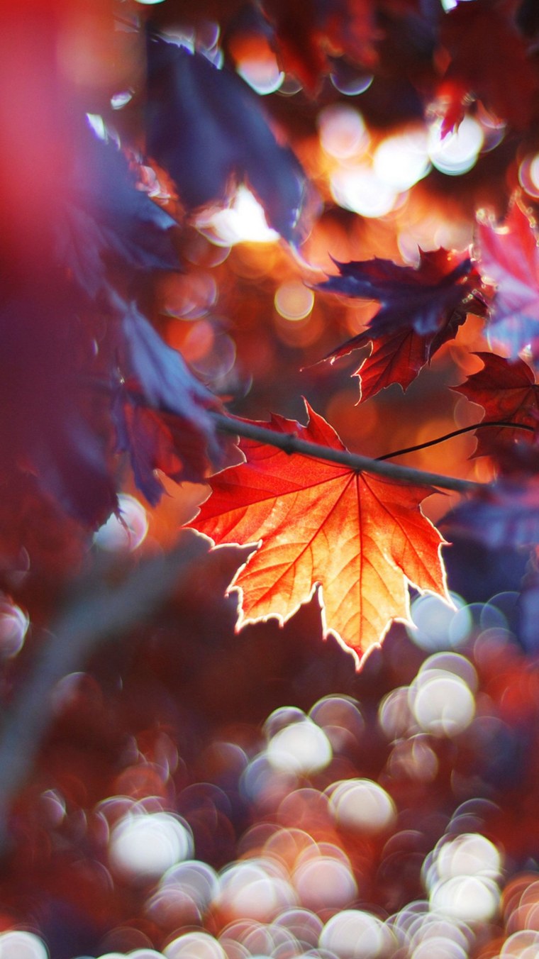 Картина природа