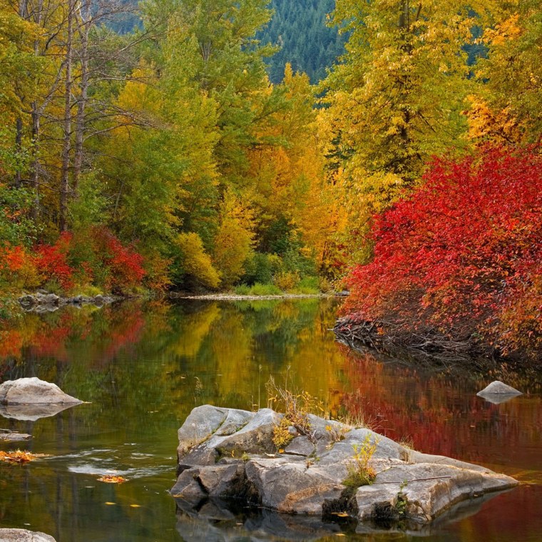 Красивая осень листья