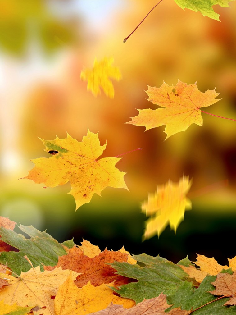 Ах осень осень