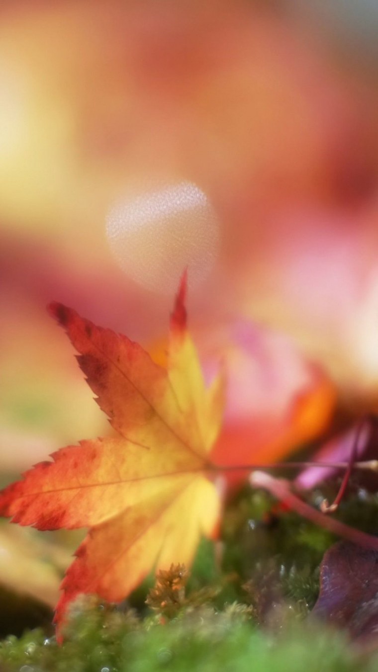 Сентябрь природа