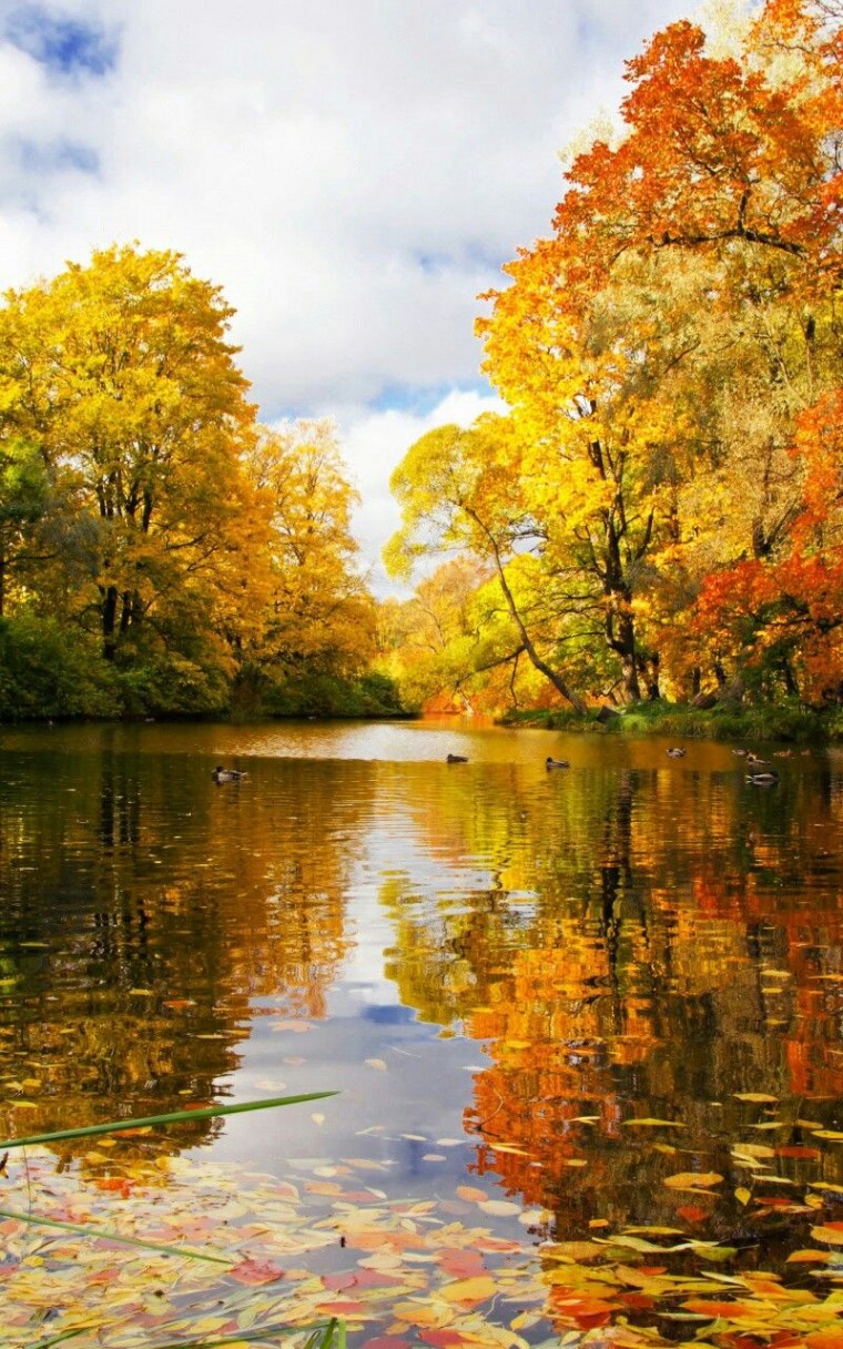 Картинки на рабочий стол осень