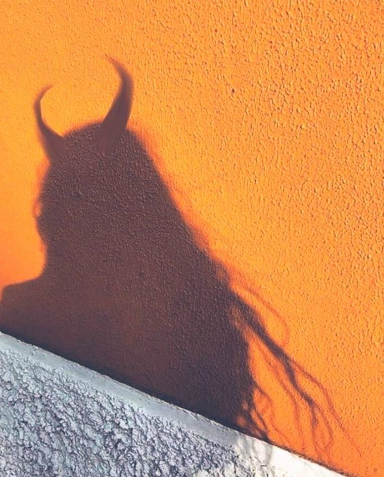 Тень девушки на стене