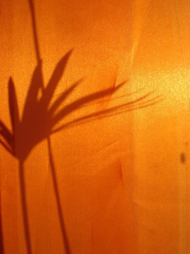 Эстетика оранжевого и бежевого