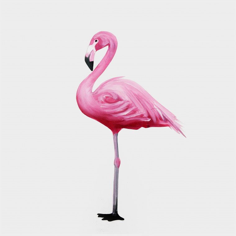 Flamingo 500359