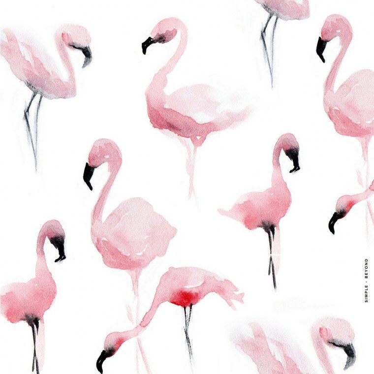 Фламинго растр