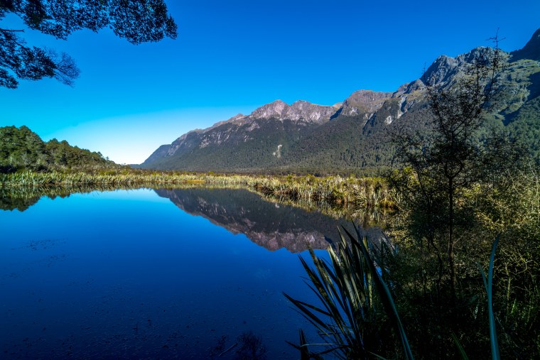 Парк Гранд Титон