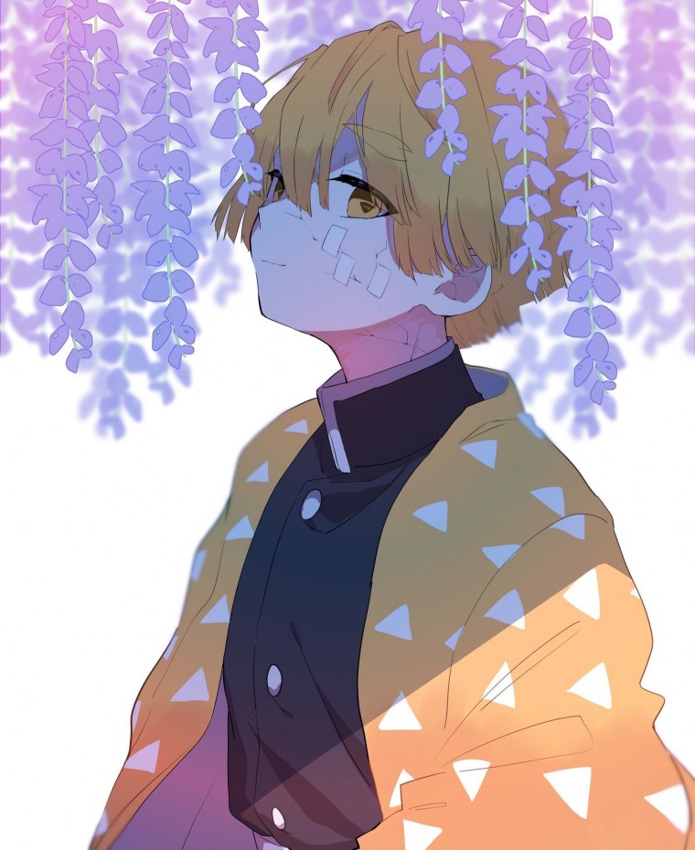 Зеницу Агацума демон