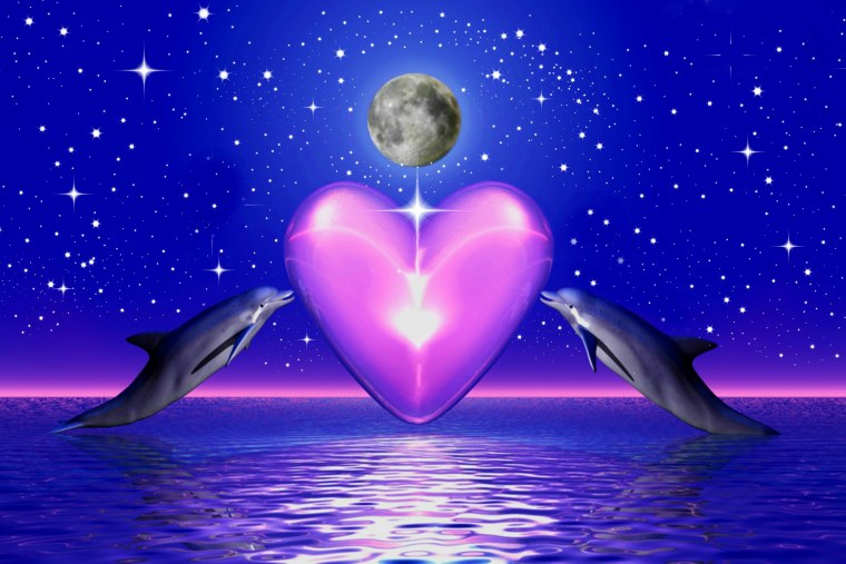 Картинки дельфинов для телефона