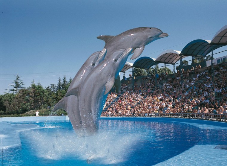 Marineland аквапарк