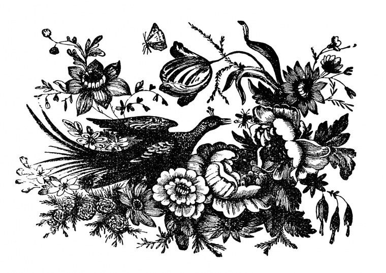 Монохромные рисунки