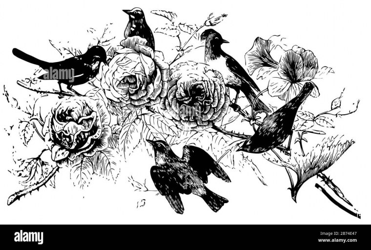 Монохромная иллюстрация