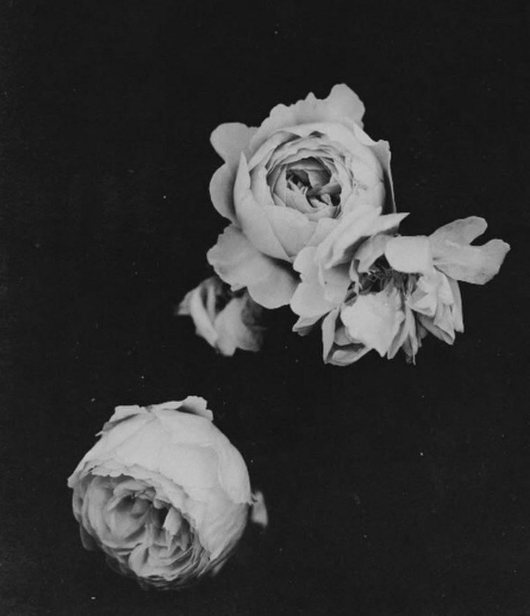 Эстетика в черно белом стиле