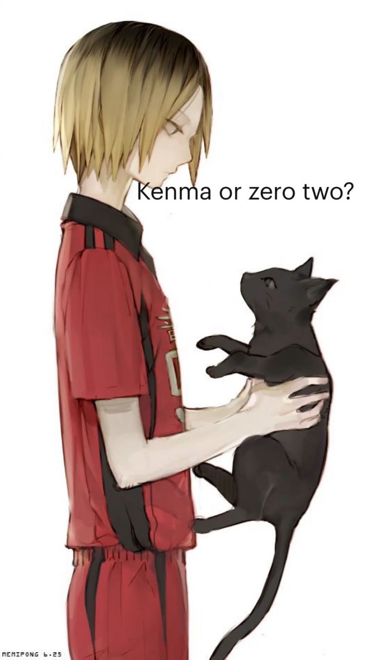 Аниме волейбол Некома Кенма Козуме