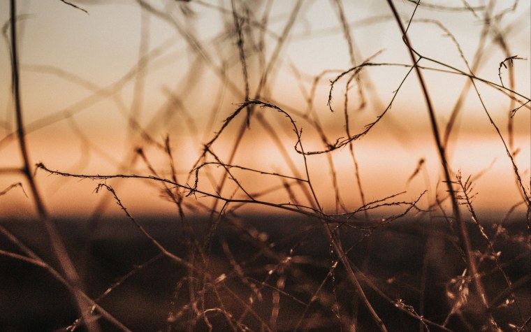 Эстетика коллаж коричневый