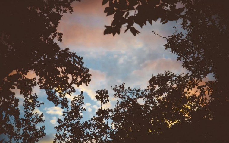 Обои Минимализм