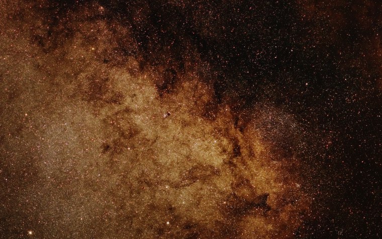 Коричневый лес