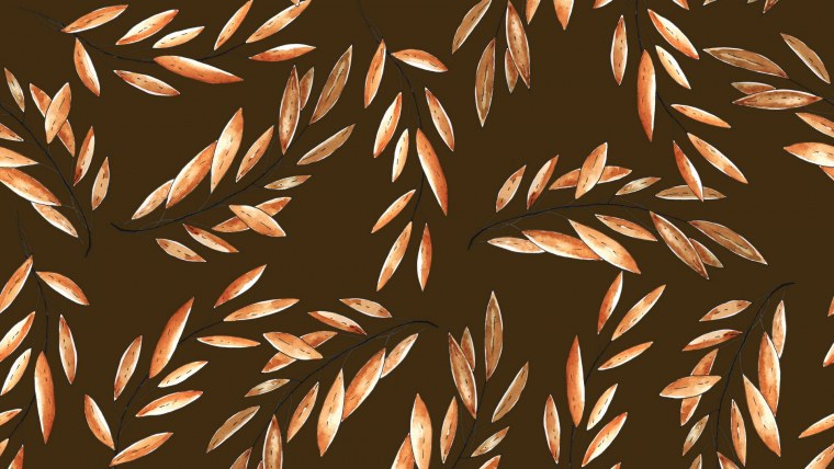 Обои на ноутбук Эстетика коричневый