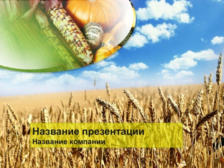 Агропромышленный комплекс России