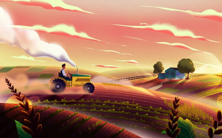 Сельское хозяйство рисунок