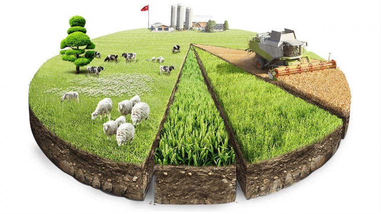 Земли сельскохозяйственного назначения