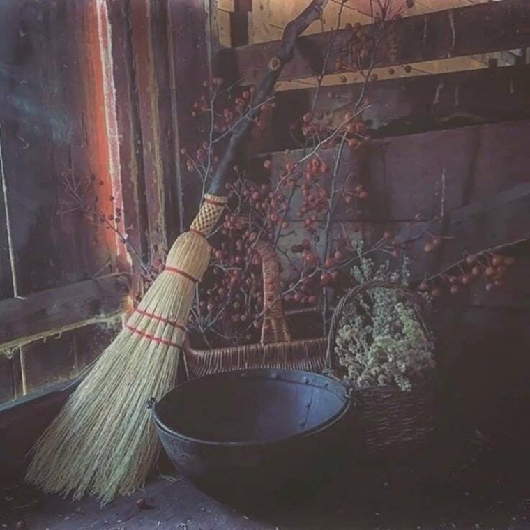 Ведьминские метлы Викка