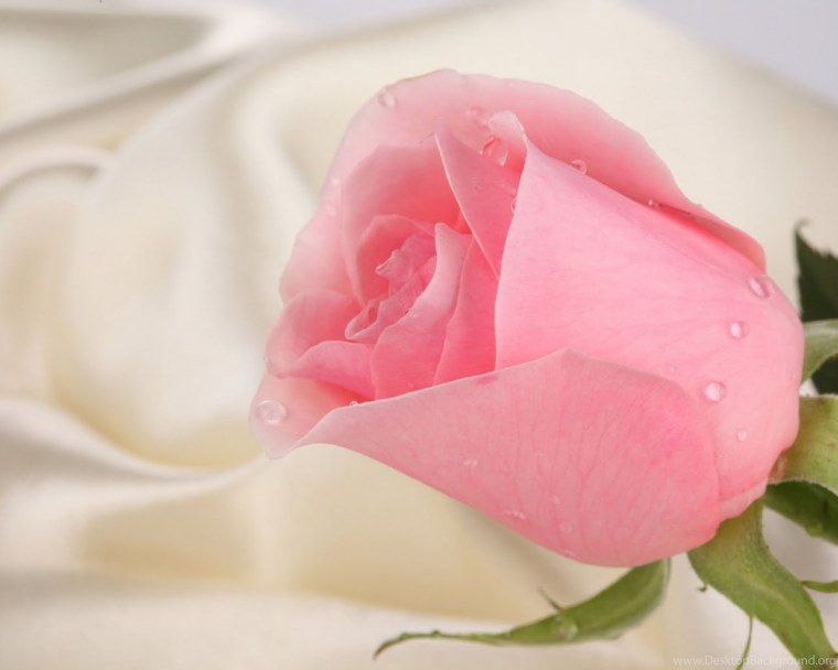 Аватарки для ватсапа