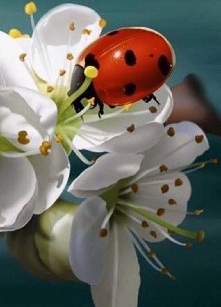 Хочется весны