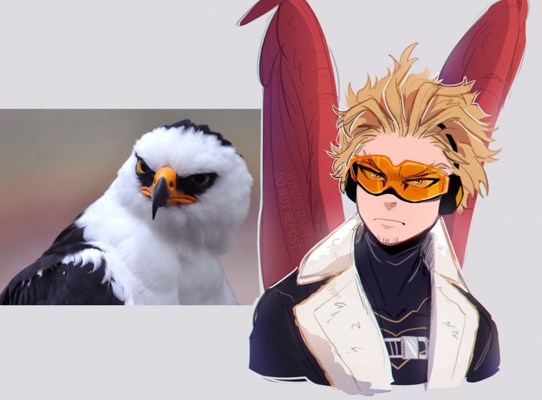 Ястреб моя геройская Академия