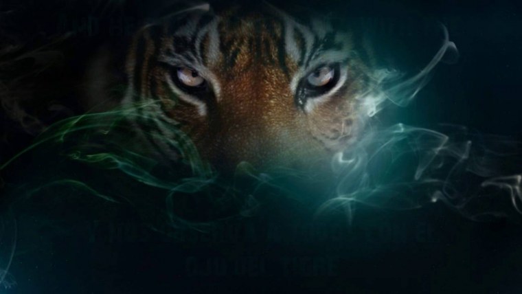 Тигрица глаза на черном фоне