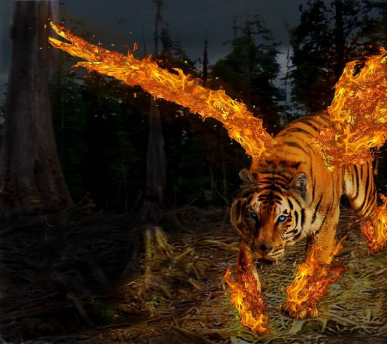 Чёрный волк с красными глазами