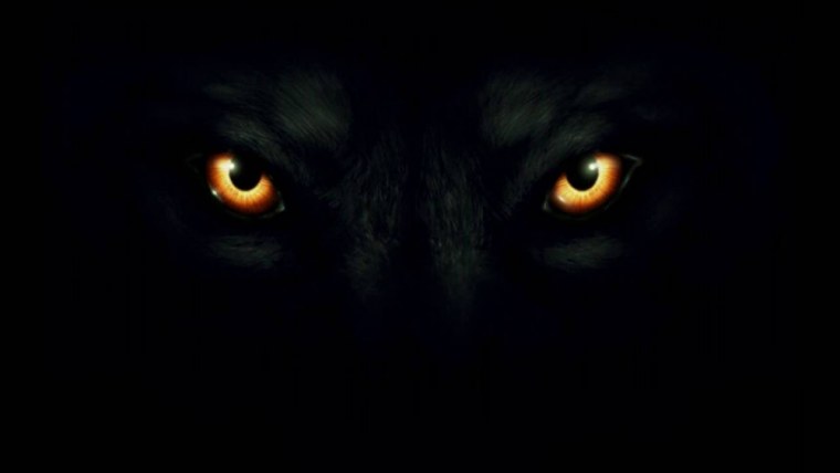 Глаза в темноте